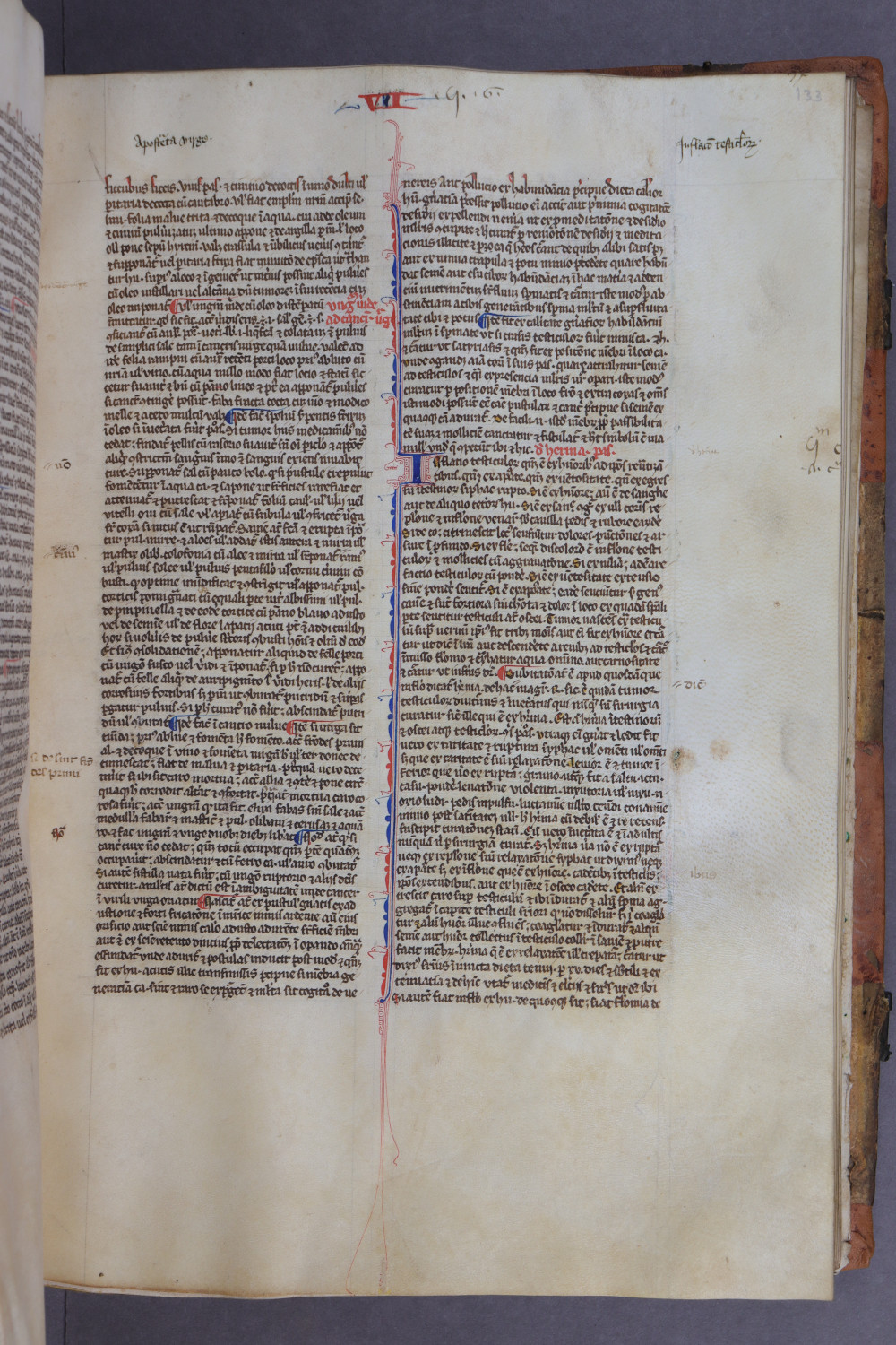 Folio 133 recto